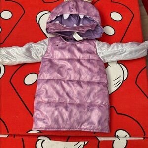 Pottery Barn kids Halloween costume